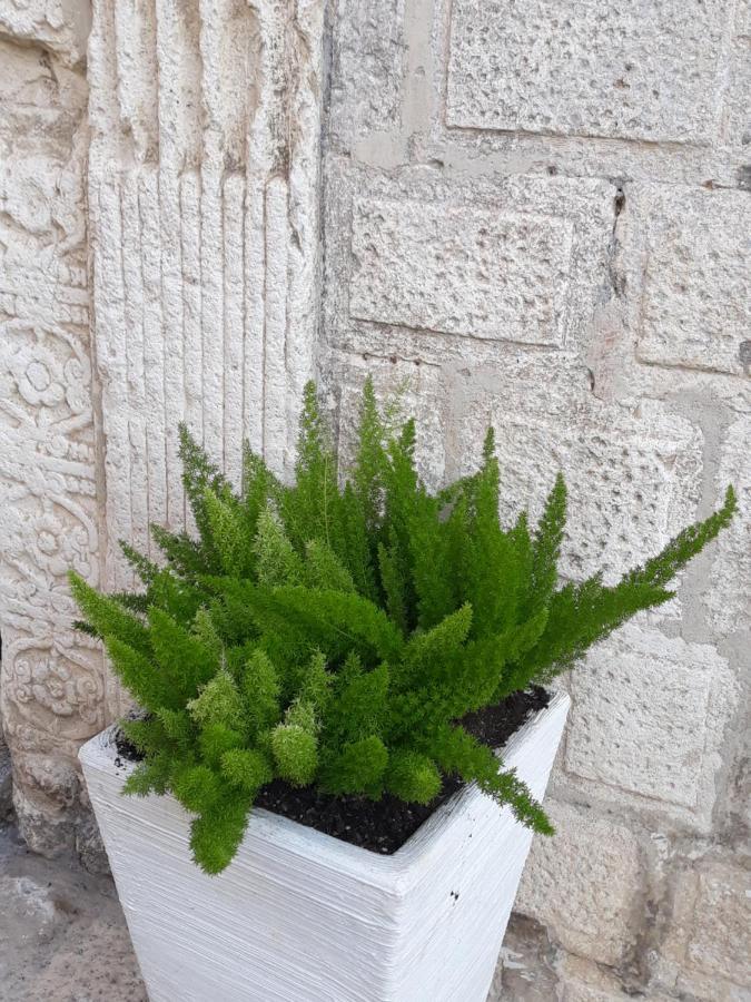 Le Bifore B&B Molfetta Extérieur photo